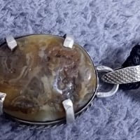 داودي قديم • معي جزع • سعر خاص