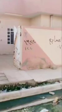 دار سكني • حي الشيماء الاولى • ١٠٠م