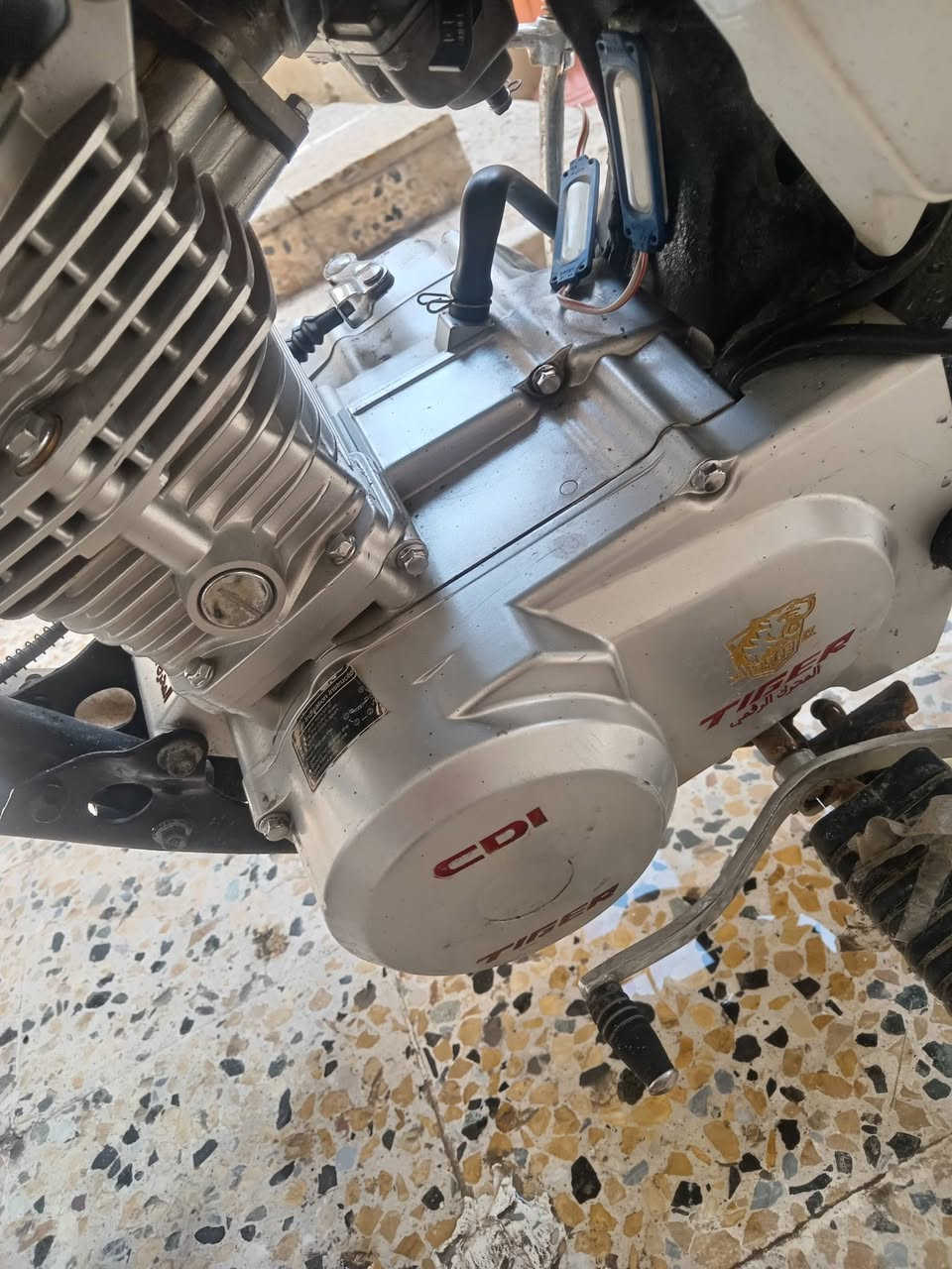 السلام عليكم ماطور 2024 مكينه صبانه ما مضروبه شغال كامل مكينه فول كزوز صراخ سعر 450 وبي مجال مكاني موصل


**إذا كنت صاحب هذا الإعلان وتريد حذفه لأي سبب، رجاءا أرسل رسالة إلى الدعم الفني**