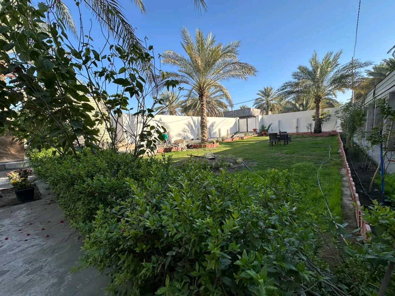 : هذا البيت 650 متر طابو زراعي سند 25 بيت بسمي  واجه 14 ونزال 45 متر. وحديقه 250 متر يباع مع الاثاث اوبدون المنطقى مي مجاري كهرباء خدمات كامله يبعد عن الامام 4 كيلو طريق بغداد كربلاء عمود 51 قرب جامعة الزهراء خلف خباطه العبتة
السعر 250 قفل 
رقم ***********