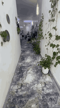 دار للبيع في منطقة الدوانم  
مساحة ١٥٠ متر
بناء حديث درجه اولى طابوق
يحتوي الطابق الارضي على غرفة نوم وصاله وحولي كبير وحمام عدد٢ ومطبخ حار ومطبخ بارد
والطابق الثاني يحتوي على غرفتين نوم كبار وبالكون وحمام  مع حولي بين الغرف كبير 
ويحتوي الطابق الثالث   
على بيتونه وسطح على حجم البيت
مع توفر الماء والكهرباء 
 للاستفسار 
 0789 058 0028
