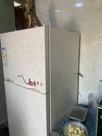 ثلاجه جديده • بل جيس • نهايت الشهداء