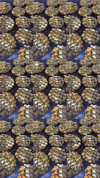 السلام عليكم
يتوفر لدينا جميع أنواع الحلويات
للاستفسار مراسلة الصفحة او الاتصال
‏‪***********‬‏
