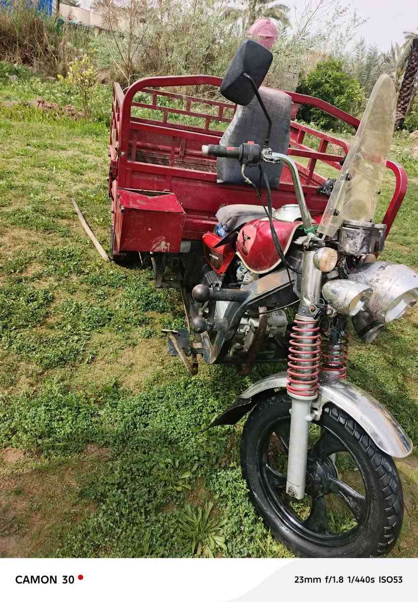 السلام عليكم يوجد لدينا ستوته فحل
أصول يهودية السعر١٥٠٠

وبينه مجال  وشري يدلل المحافظ واسط الصويره***********
