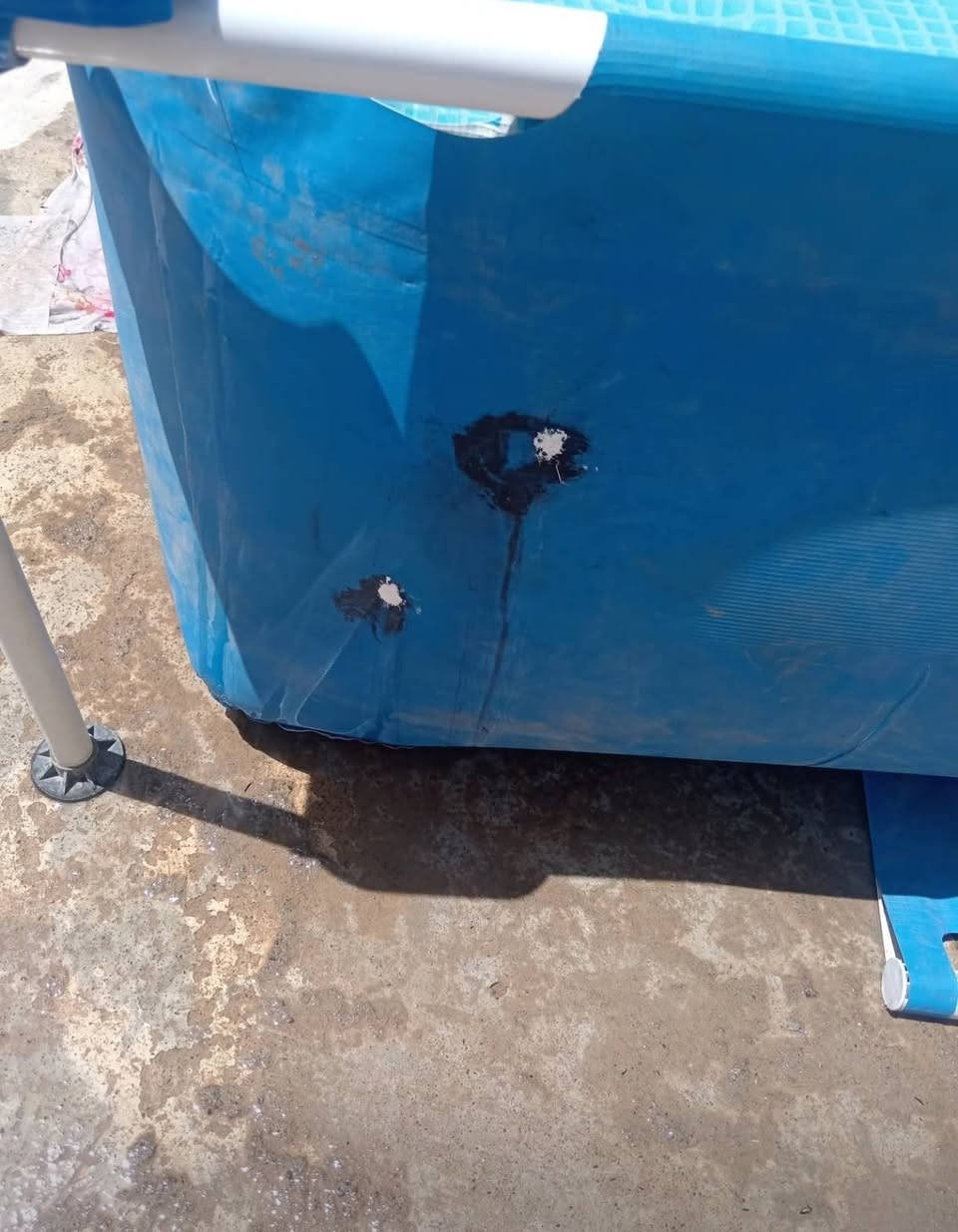 مسبحINTEXللبيع
الطول 3M
والعرض 2M
الارتفاع 75CM
السعر 75وبي مجال قليل
بي اظرار بسيطة طاخو صبغ مال حايط
شوفو بل صورة👇
التواصل خاص


**إذا كنت صاحب هذا الإعلان وتريد حذفه لأي سبب، رجاءا أرسل رسالة إلى الدعم الفني**