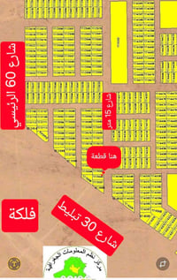 الديوم التوحيد • ٢٠٠م • واجهة ١٠م