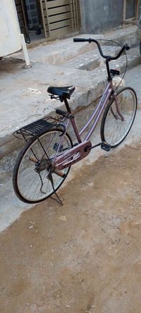 باسكل زين • مشتري • انطي فرق