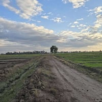 موقع مرتب تاجي ذراع دجله ✅ مقابيل سبع البور  جايبلك دوانم حلوه ومرتبه ...