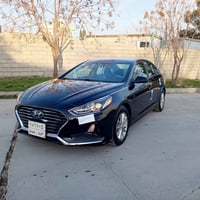 سوناته • ٢٠١٨ • وارد امريكي