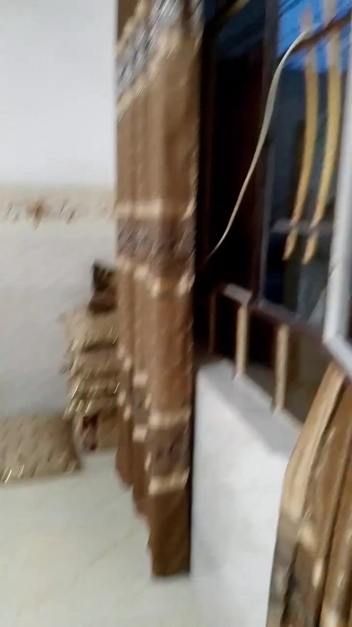 بيت للبيع مساحة 175 متر  بي وصل بلدية شارع صبه حي تل رمان بيت كامل بس تكعد


**إذا كنت صاحب هذا الإعلان وتريد حذفه لأي سبب، رجاءا أرسل رسالة إلى الدعم الفني**