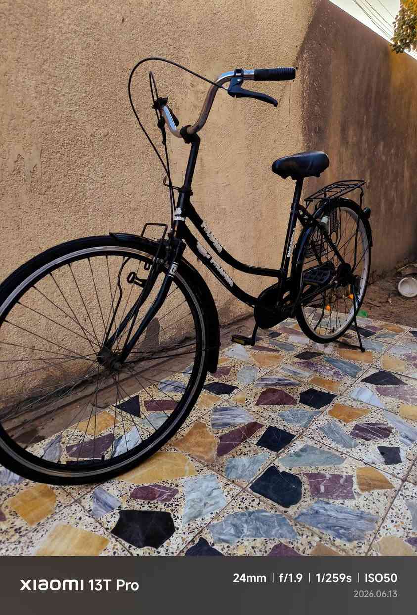 بايسكل للبيع مديل 23 نضيف المكان ابورمانه سعر 105 وبي مجال


**إذا كنت صاحب هذا الإعلان وتريد حذفه لأي سبب، رجاءا أرسل رسالة إلى الدعم الفني**