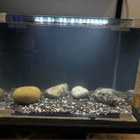 حوض ديزاين • فلتر داخلي • إضاءة LED