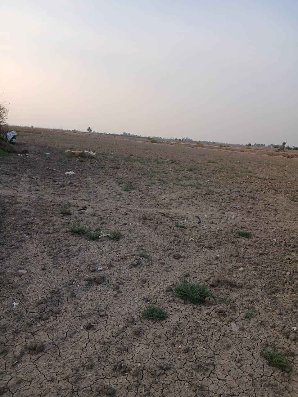 سلام عليكم قطعت ارض البيع ٢٠دونم مع بيوت اثنين السعر ٣٠٠عنواني بابل جبلة ***********
