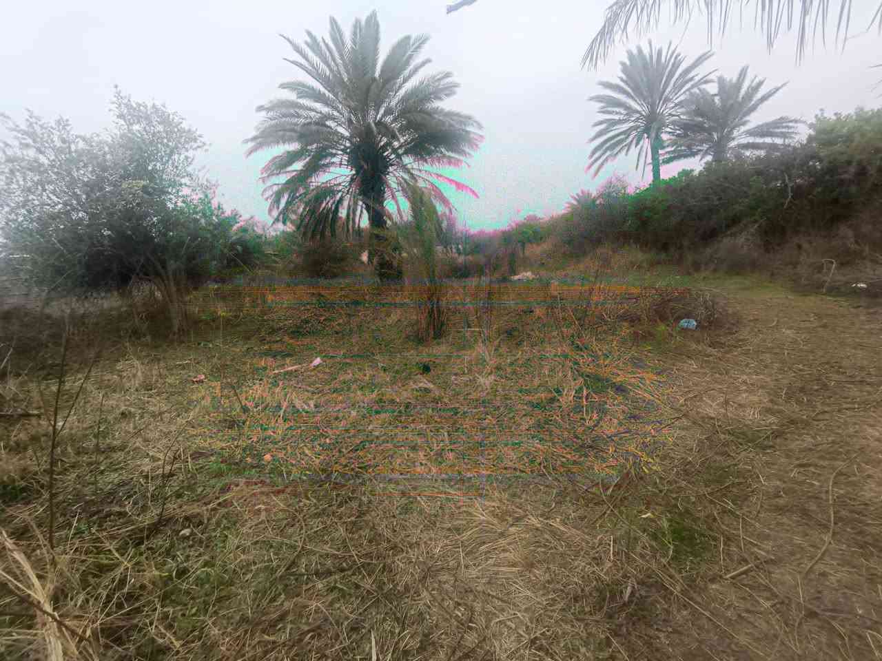 ياالله
البيع 1000متر في بغداد منطقه الراشديه

جنس العقاري سند ٢٥ تحويل بأسم المشتري يتوفر فيه جميع الخدمات ماء اساله وماء روئي وكهرباء ويوجد فيه نخيل وحمضيات للأستفسار اتصل على رقم او مراسلة سعر ٧٠بيه مجال ترهم ستثمار وه مزرعه متنفس الك ***********
