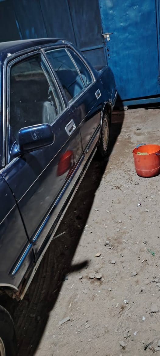 ارنب طوليه لون نيلي مكفوله كصه ونقل جثه محرك ٢ونص محرك كير حداديه كهربائية خير من الله جهزه هوزها شويه ترتيب سعر ٤٠ورقه رقم بغداد رعيها يمي مكان سياره بصره شط العرب جزيره رقم الهاتف ***********
