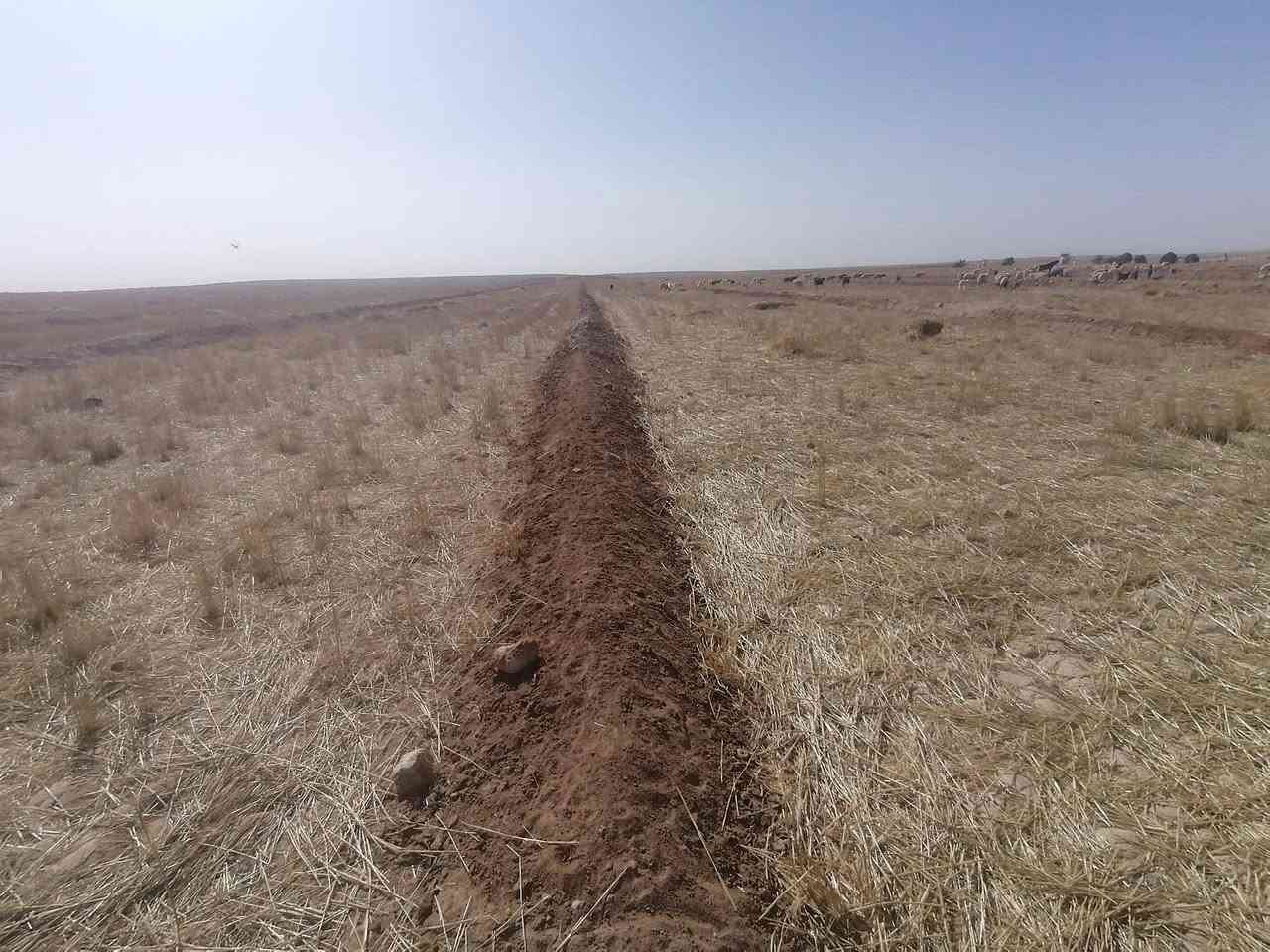 ارض زراعيه للبيع بيها عقدين
مساحتها 300 دونم ارض عدله مابيها ضهره .
موقعها باديه السماوه طريق السلمان قرب سيطره ال بطاح.

تباع معه معداتها البيها 

دفاعه 50 حصان.
بوري ماي حجم 5 انج العدد 82 بوري.

حوض ماء 26 ×26متر مربع وعمقه متر وربع.

بيت متكامل غرفه ومطبخ وبراني.

محوله خاصه للمزرعه250كيفي

حقل دواجن.

نخل العدد 45نخله انواع.

اربع ابار.

للستفسار: ***********
