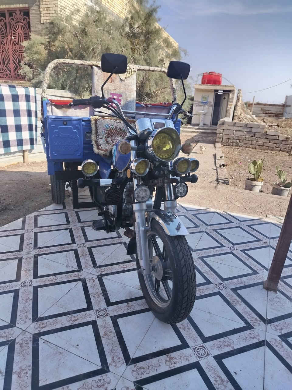 ستوته جمره فول فول 2023 مرتبه ما نقصه شي أوراق كامله مكان البصره القرنه الثغر تواصل ***********
