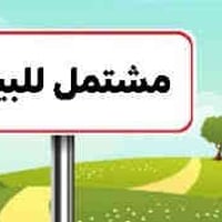 كوت الشهداء • ١٠٠م • مشتمل