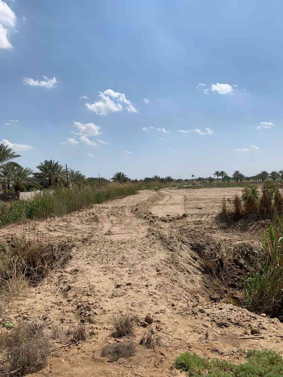 سلام عليكم دوانم البيع سند 24 كافة الخدمات ماء كهرباء تبليط يبعد عن تبليط، 90 متر طريق 5 متر/ مكان بابل ورديه يبعد كيلو  عن الإمام علي أبن الحسن ابو هدمه / ***********/ يصبح سكن/ ويصبح مزرعه/
