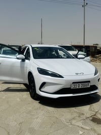 سيل 5 • ٢٠٢٥ • ممشا ٨٠٠