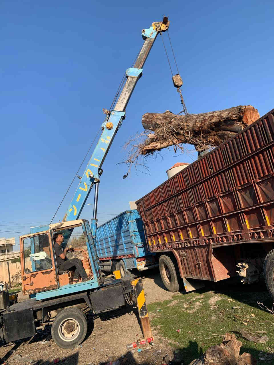 السلام عليكم كرين ازوزوه عصفورانشائيه بصره 4طن رقم الماني شرط التحويل 
السعر/180/ورقه$
 ***********
***********
