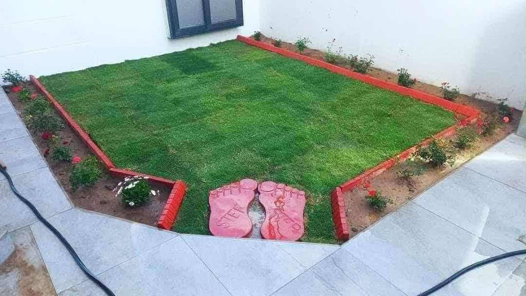 لعمل الديكور اتصل على الرقم (***********)
🍃مستـعدون🍂 ، لـترتيب🐦 الحدائق المنزلية 🏝️🏘️ ودوائر الدوله والمتنزهات  مايخص الحدائق العامة
وزراعة النباتات، 🌾🌴🌱والازهار، 🌼🌺🌻وقص الثيل.🌾🌾
وعمل الديكورات والتصاميم،الحديثة للحدائق،وعمل وسياجات BRC وسياجات الحدائق، بواسطة الاحجار الملونة والاشتايكر   ،
ونعمل على تصميم الشلالات 💦والنوافير.⛲
