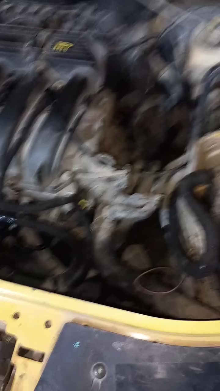 سلام عليكم اليوم عدنه رينو بيه ضفيرة تعبانه رتبناه كلشي يخص الرينو سلف داينمو مال تفصيخ مراوح متوفرة فيتر حداديه صدر كهربائي تبريد مكاني تقاطع درويش حي التراث مجاور حسينيه سيد جبار   حسن ابو مرتضى  هاذ رقمي ***********
