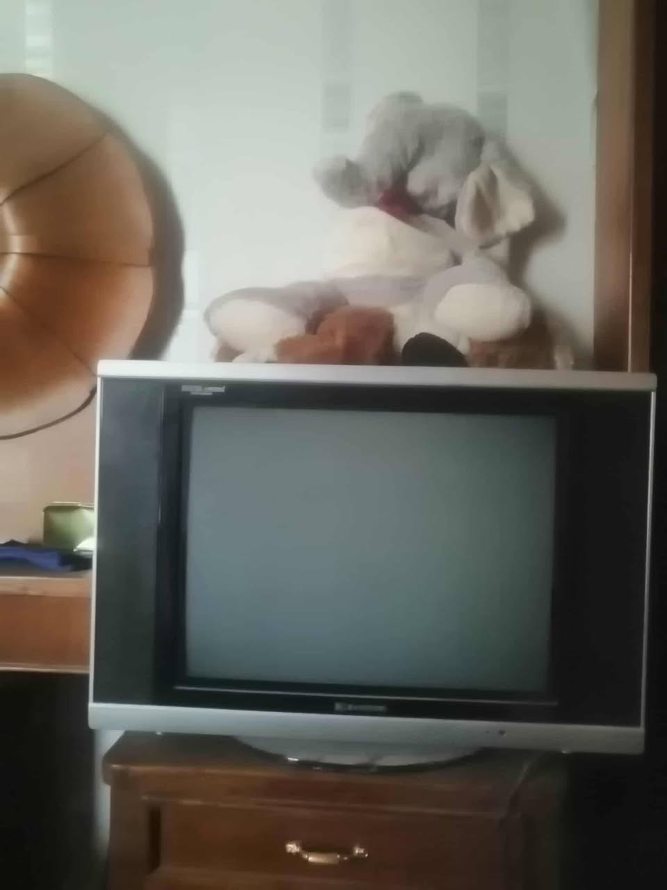 مجمده عموديه شغاله نضيفه شرط على فحص حجمه 16قدم سعر 180
زواليه عدد 2 قياس لوحده 2 نص في 3 ونص وسعر 55
باندا حجم كبير كلش حلوه ونضيف سعر 45
تلفيزيون ابو القاعده حجم 26, شغال ونضيف شرط على فحص سعر 30 
دي في دي شغال ونضيف شرط على فحص سعر 25
بايسكل كلش حلوه ونضيف حجمه 26 سعر 75
راديو شغاله نضيفه جديد سعر 35
مزهريه كلش حلوه ونضيف حجم كبير سعر 12
العنوان النجف حي الوفاء 
العنده أغراض غرفه نوم انشرهن وعلبيع إلي نسبه بسيطه يتفضل خاص 
تابعني ليصلك كل جديد


**إذا كنت صاحب هذا الإعلان وتريد حذفه لأي سبب، رجاءا أرسل رسالة إلى الدعم الفني**