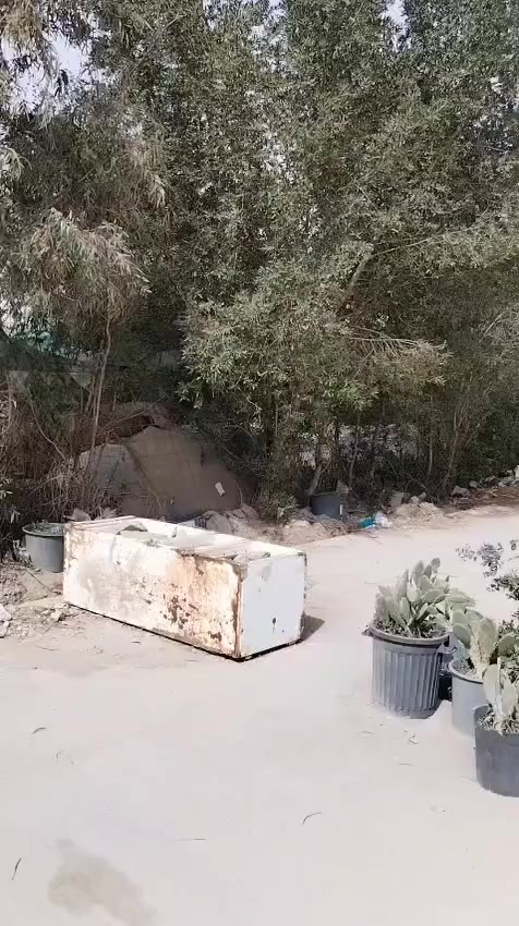 سلام عليكم تكتك للبيع موديل 23 شهر 12 رقم كربلاء رقم نكليزي وهزه جديده بسمي شخصين 
مكاني ناصريه قضاء رفاعي

***********
