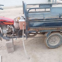 ستوته • مجال للشراي