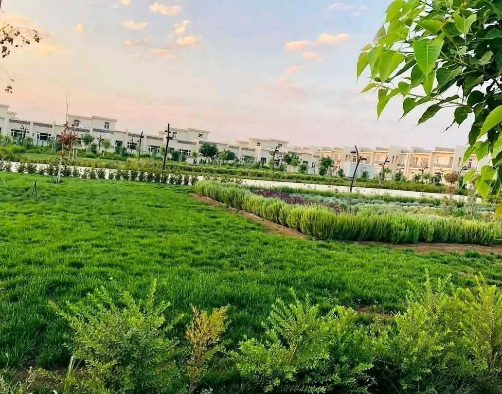 سڵاو بە رێزان جوانترین زه وی ئایندە بامۆک بۆ فرۆشتن  D__3__62__روە خۆر به یانی به ردەم چۆڵ.. نزیک ده روازه ٢٠٠م :::/***********
