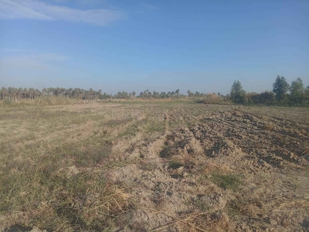 السلام عليكم بسم الله الرحمن الرحيم توجد لدينا أرض للبيع المساحة 7دوانم الجنس أصلاح زراعي أرض جدا جميله وتصلح ألى المستثمرين تصلح حقول أبقار وتصلح بحيرات اسماك وتصلح حقول دجاج وتصلح نخيل البرحي ألارض مباشر على الشط ٨٠متر واجهيه كلها على الشط متوفره كافة الخدمات مأء اساله وكهرباء وشارع ١٠متر سبيس قيد الانشاء الموقع بابل الحمزه الغربي خيكان قرب الدولي الجديد للاستفسار الاتصال على الرقم التالي
*********** او مراسلة الصفحه خاص
***********
