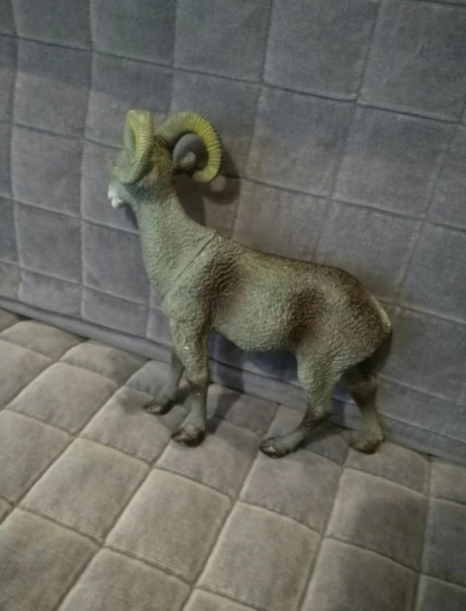 مجسم حيوان الكبش الجبلي قياس شبر


**إذا كنت صاحب هذا الإعلان وتريد حذفه لأي سبب، رجاءا أرسل رسالة إلى الدعم الفني**