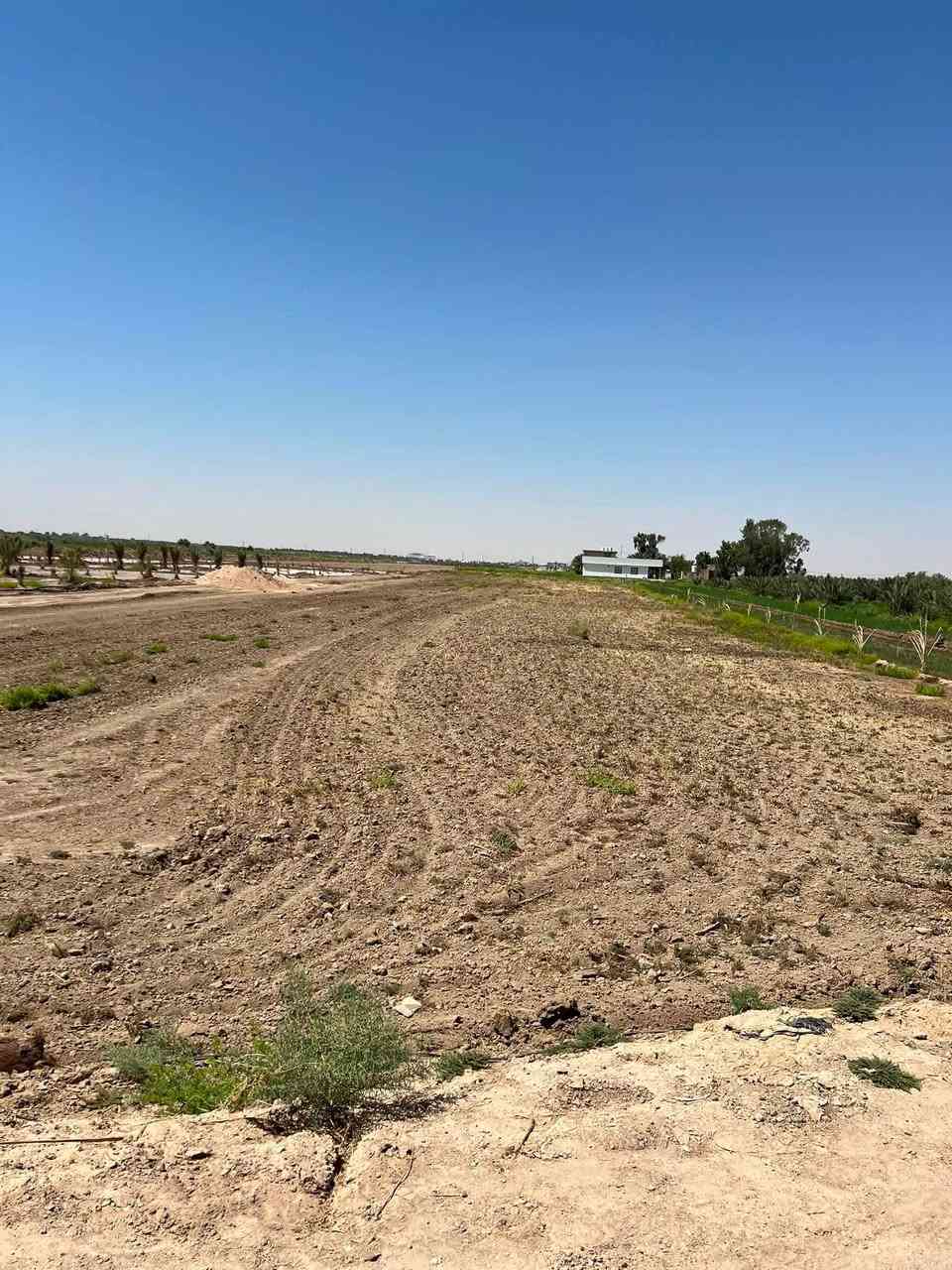 ✅توجد ٣ دوانم للبيع طابو زراعي ٢٥ كافه الخدمات 

✅الموقع طريق كربلاء نجف عمود ١١٤١ منطقة الجذار قرب مدرسه المجتبي 

سعر الدونم ٧٥ مليون وبيه مجال للشراي 

للاستفسار الاتصال ***********
