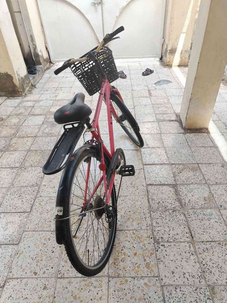 سلام عليكم بايسكل للبيع ياباني اصلي جديد الي ريد يجي خاص


**إذا كنت صاحب هذا الإعلان وتريد حذفه لأي سبب، رجاءا أرسل رسالة إلى الدعم الفني**