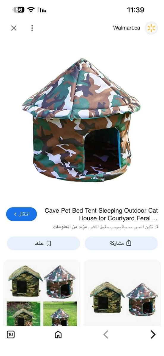 السلام عليكم 4قطع بيت وخرماشه وجنطه ومنام للقطط


**إذا كنت صاحب هذا الإعلان وتريد حذفه لأي سبب، رجاءا أرسل رسالة إلى الدعم الفني**