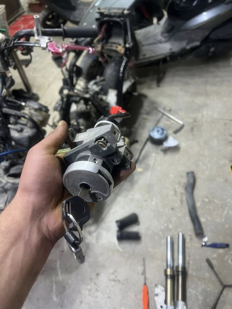 صدر للبيع سكنس عام ودبلات خلفيه وجوزه مال فحل مكاني بياع او دوره توصيل ماعندي ❤️✨


**إذا كنت صاحب هذا الإعلان وتريد حذفه لأي سبب، رجاءا أرسل رسالة إلى الدعم الفني**