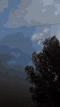 ستوته دايوان • موديل 14 • اوراق اصلية