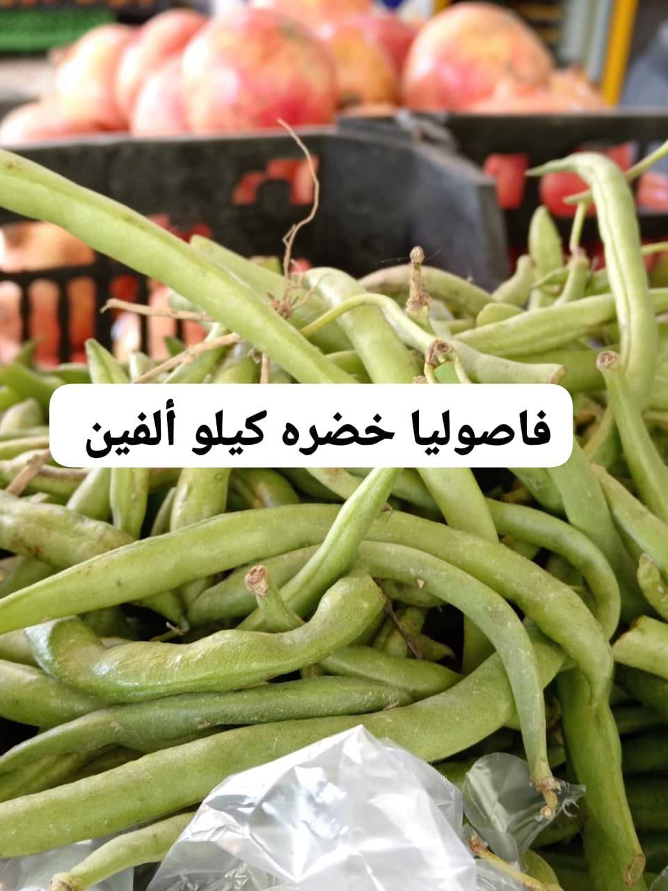 #كل_يوم__طلبيات_مسواك_جديد_ونظيف_يوصلك_للبيت_بدون_ماتعب_نفسك__من_فواكه_وخضروات_ابو_مصطفى_في_خانقين
 🍎🍉🥦🥕🍓🌶🍒🍋🍄☘️🫛🌱🔥🔥🔥🔥🔥
#متابعين_فواكه_وخضروات_ابومصطفى
‏
‏🔹 «اختار المعروض بالصور والأسعار الظاهرة امامك وأرسل الطلب عالواتساب أو المسنجر»  على الرقم الاسفل👇

‏
‏                 الواتساب  ***********.
‏                 التليكرام ***********
                 الفايبر ***********
                ماسنجر / فواكه وخضروات ابو مصطفى 
@أبرز المعجبين 
#الجميع

‏
