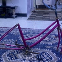 الجسد كامل سكان و ويل و تاير و السلة و كلشي