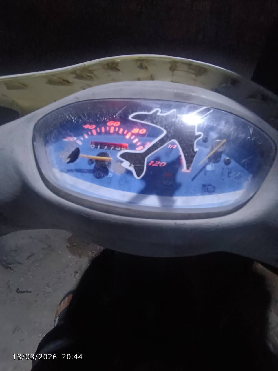 السلام عليكم ماكس منغولي كامله ما ناقصهة شي نكرة بس يرادلهة شد كفرات الوجه و البك لايت كلشي شغال نكرة سلف هندر من الصبح بكل وكت مكاني بغداد العبيدي الرقم ***********
