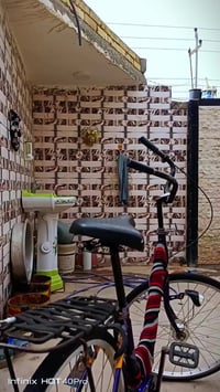 بايسكل • الشطرة الحولي • كماليات