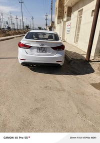 النترا • فول مكفول • جديدة