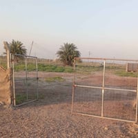 بستان للبيع طابو زراعي سند ٢٥ يقع في الصويرة الغراوية مقاطعه ١٩/٥ الوا...