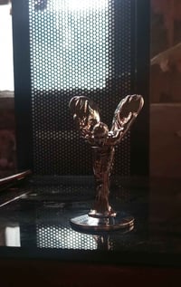 حوريه روزرايز • اكسسوار • خاص مفتوح