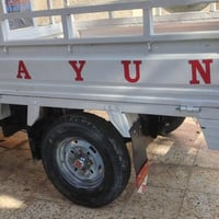 ستوته • دايون • 2011