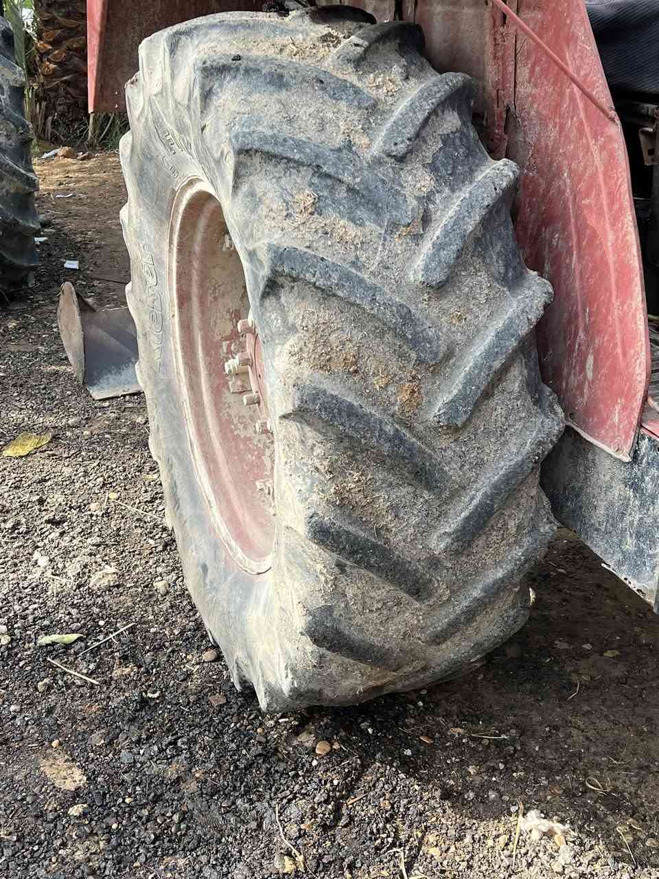 للبيع مع الويل


**إذا كنت صاحب هذا الإعلان وتريد حذفه لأي سبب، رجاءا أرسل رسالة إلى الدعم الفني**