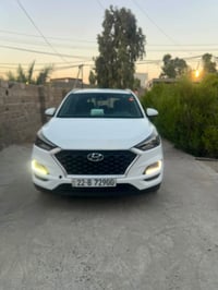 توسان • ٢٠٢٠ • رقم اربيل
