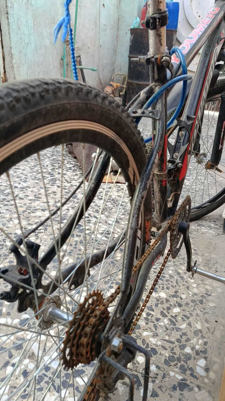 بايسكل جبلي متروك يرادله بس  تبدل جوب ويلات جدد سعره 70 وبي مجال للشراي النجف, العراق


**إذا كنت صاحب هذا الإعلان وتريد حذفه لأي سبب، رجاءا أرسل رسالة إلى الدعم الفني**