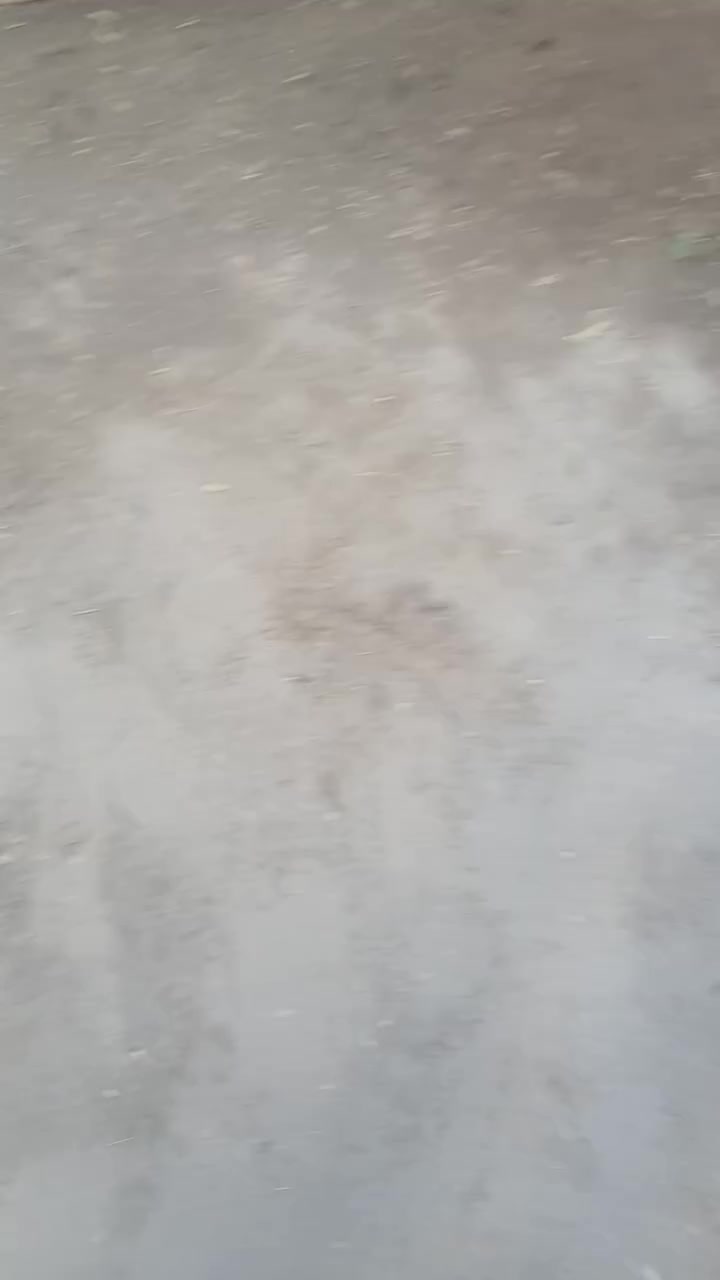 مشتل الزهور حي ميسان مقابيل مصرف الدم


**إذا كنت صاحب هذا الإعلان وتريد حذفه لأي سبب، رجاءا أرسل رسالة إلى الدعم الفني**